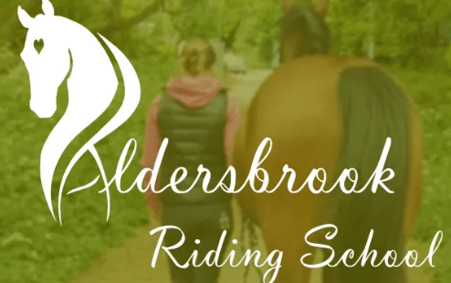 Horse Riding Lessons