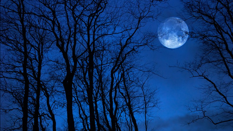 Working with Grief: Developing Supportive Workplaces