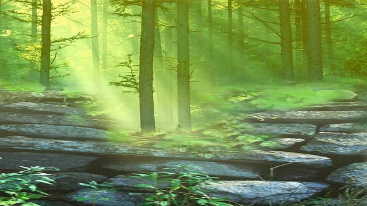 Marketing for Introverts: How Quiet Ones Can Zing